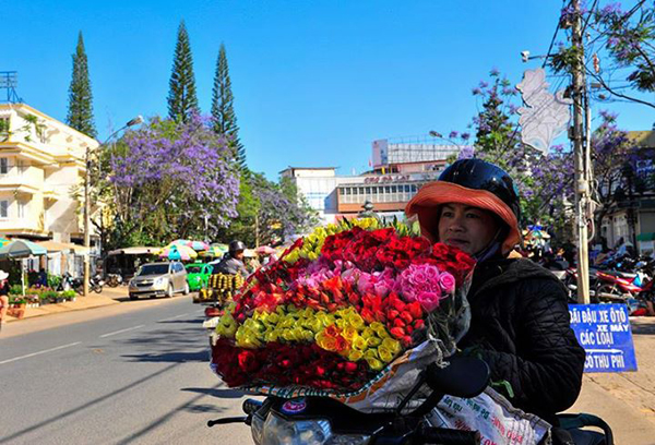 Người bán hoa trên đường vào buối sáng ở Đà Lạt